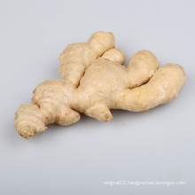 China market prices for ginger